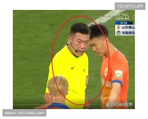 【智能录像分析】裁判用视频识别判罚，靠谱还是存争议？，视频裁判有几个